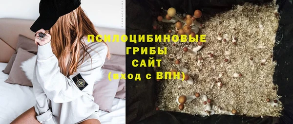 apvp Балахна