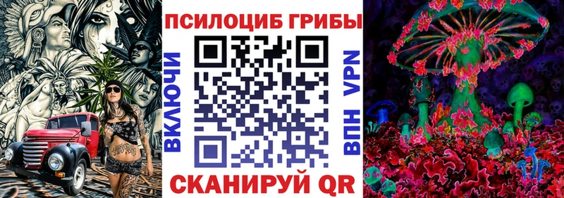 Псилоцибиновые грибы Magic Shrooms  что такое   Фокино 